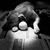 Stacey Lingel-Jones's profile image