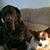Katharina Unthan's profile image