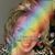 Kathy Mueller's profile image