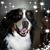 Jo Cordes Brown's profile image