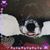 Sheila Scott's profile image