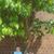 Maryann Hoats's profile image