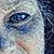 Donna Postel Paulding's profile image