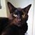 Cat McClaughry's profile image