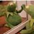Rahma E'Rock Taleb's profile image