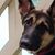 Donna Blair Kortsch's profile image