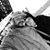 Francis Raul Esquivel's profile image
