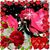 Lena Almazan's profile image