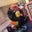 Josh Rohde's profile image