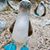 Lori Sires's profile image