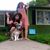 Laura Tosto's profile image