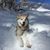 Alan Alan Alan Alan's profile image