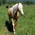 Christina Cady Brown's profile image