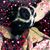 Shannon Ison's profile image