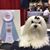 Melody Eads Green's profile image