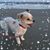 Kelley Wagner Dunbar's profile image