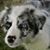 Steven Stockdall's profile image