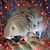 Wendy Delk's profile image