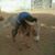Ousman Kolley's profile image
