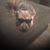 Doris Freire's profile image