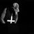 Matthew Kupers's profile image