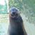 Robert Kittrell's profile image