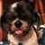 Barb Crider's profile image