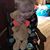 Pamela Lynn Joles's profile image