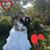 Nancy Trevizo's profile image