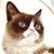 Jenny Inglis's profile image