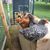 Mike Raftery's profile image