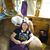 Susan St's profile image