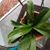 Dawn Brown's profile image