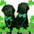 Karey Thomas's profile image
