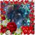 Louis N Chiafullo's profile image