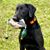 Ricky Elston's profile image