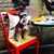 Sonny Ricardo Figueroa's profile image