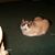 Ann Jackson Marks's profile image