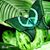 Ann Yeagley's profile image