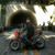 Delos Reyes Joseph's profile image