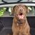 Jane Burdette's profile image