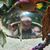 Cristie Oost's profile image