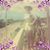 Virginia P Austin's profile image