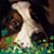 Katherine Cleary's profile image