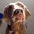 Mary Hook VanEss's profile image