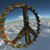 Cathy Caldwell's profile image