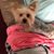 Dee Christy Hopkins's profile image