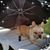Annmarie Stewart Figueroa's profile image