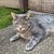 Diane Nelson Feaganes's profile image