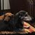 Winnie Hinton's profile image
